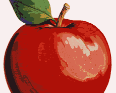 Apple, Clinton, City Scape 
